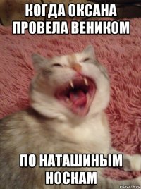 когда оксана провела веником по наташиным носкам