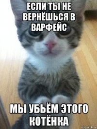 если ты не вернёшься в варфейс мы убьём этого котёнка