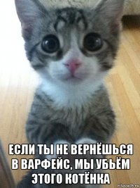  если ты не вернёшься в варфейс, мы убьём этого котёнка