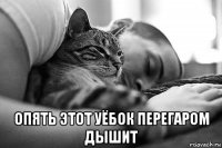 опять этот уёбок перегаром дышит