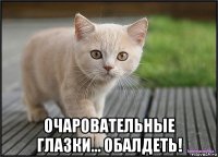  очаровательные глазки... обалдеть!