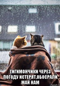  гигимончики через погоду истерят,обосрали май нам