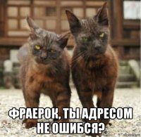  фраерок, ты адресом не ошибся?