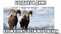 богдану и диме влом купить всем мороженки