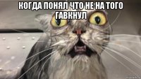 когда понял что не на того гавкнул 
