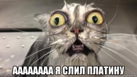  аааааааа я слил платину