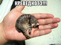 креведкотэ!!! 
