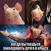  когда пытаешься заколдовать друга в крысу