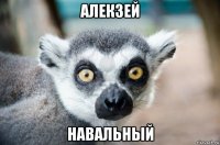 алекзей навальный