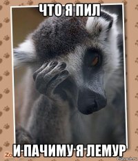 что я пил и пачиму я лемур