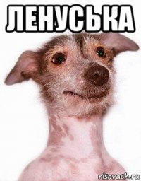 ленуська 