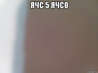 ячс 5 ячс0 