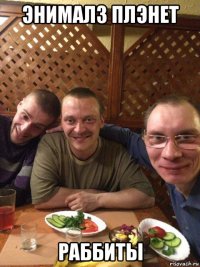 энималз плэнет раббиты