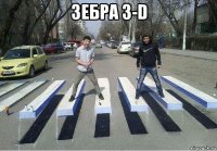 зебра 3-d 