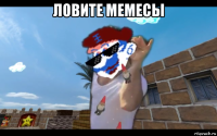 ловите мемесы 