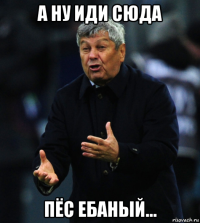 а ну иди сюда пёс ебаный...