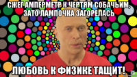 сжег амперметр к чертям собачьим, зато лампочка загорелась любовь к физике тащит!