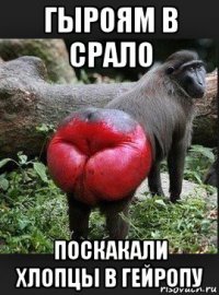 гыроям в срало поскакали хлопцы в гейропу