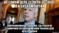 на самом деле, если по-чесноку, я агент компартии завербованный в пхеньяне, где я был на стажировке по выращиванию чеснока для штата айдахо