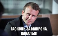  гасконь за макрона, каналья!
