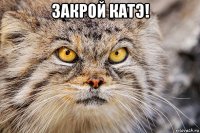 закрой катэ! 