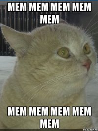мем мем мем мем мем мем мем мем мем мем