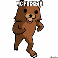 мс рыжый 
