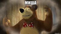 миша 