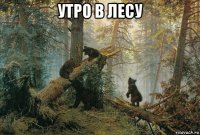 утро в лесу 