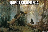 царство велеса 