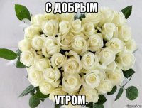 с добрым утром.