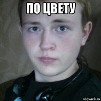 по цвету 