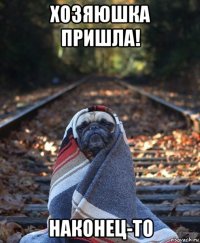 хозяюшка пришла! наконец-то