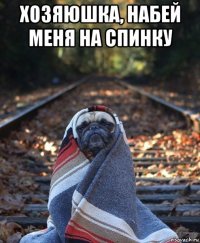 хозяюшка, набей меня на спинку 