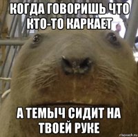 когда говоришь что кто-то каркает а темыч сидит на твоей руке
