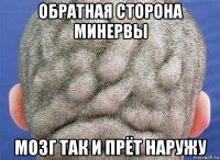 обратная сторона минервы мозг так и прёт наружу