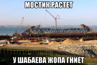 мостик растет у шабаева жопа гниет
