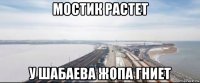 мостик растет у шабаева жопа гниет