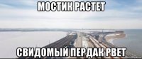 мостик растет свидомый пердак рвет