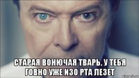 старая вонючая тварь. у тебя говно уже изо рта лезет