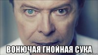  вонючая гнойная сука