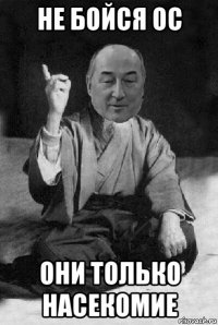 не бойся ос они только насекомие