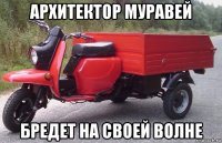 архитектор муравей бредет на своей волне