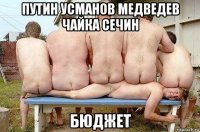 путин усманов медведев чайка сечин бюджет