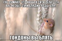 све думают что нюша в сити делат эта вас не эбёт суки бляди у роды блят гондоны вы блять