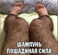  шампунь лошадиная сила