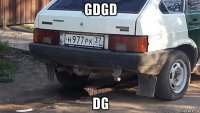 gdgd dg