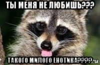 ты меня не любишь??? такого милого енотика????