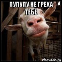 пупупу не греха тебе 