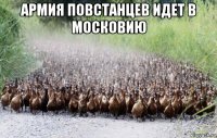 армия повстанцев идет в московию 